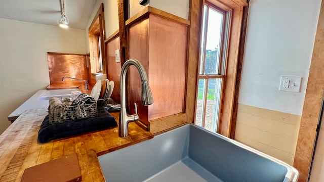 interior space with a wealth of natural light, sink, hardwood / wood-style flooring, and track lighting