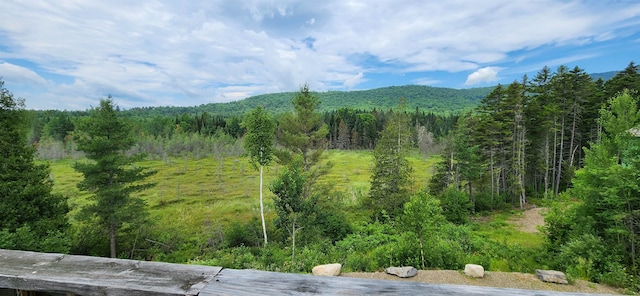 property view of mountains