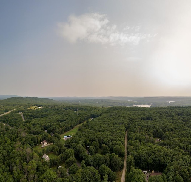 0 Bourdeau Dr, Milton, NH 03851