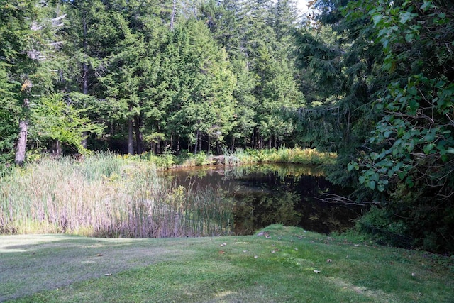 view of yard featuring a forest view and a water view