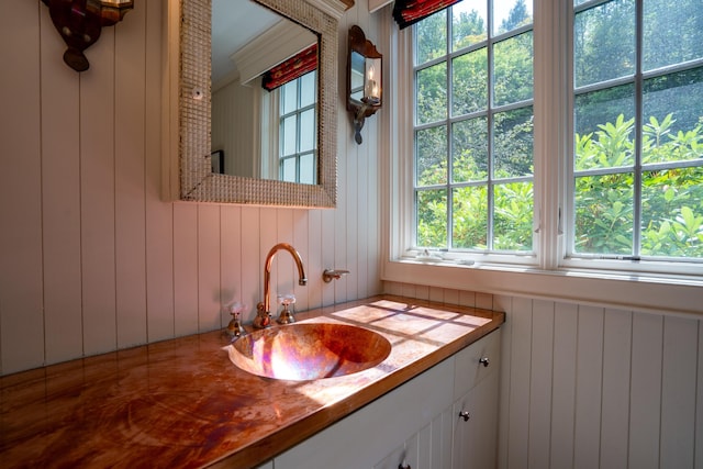 bathroom with vanity and radiator