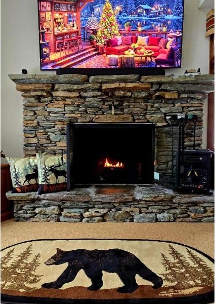 107 Blueberry Ledge Rdg Unit 45, Plymouth, VT 05056 - details with a stone fireplace