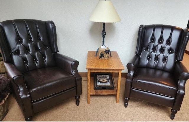 107 Blueberry Ledge Rdg Unit 45, Plymouth, VT 05056 - sitting room with carpet floors