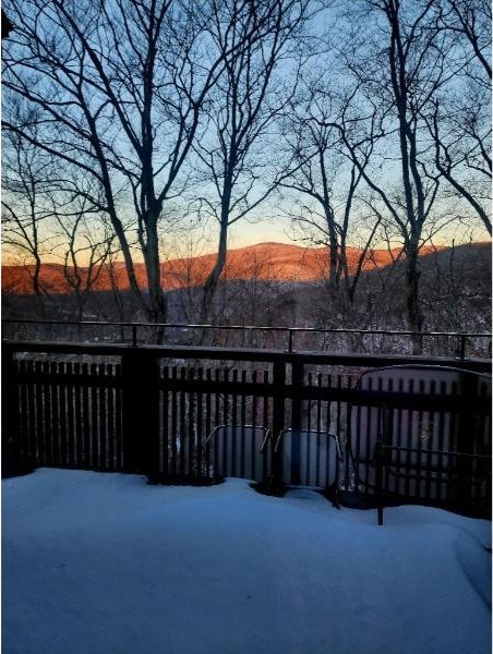 107 Blueberry Ledge Rdg Unit 45, Plymouth, VT 05056 - view of wooden terrace