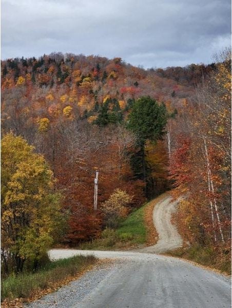 107 Blueberry Ledge Rdg Unit 45, Plymouth, VT 05056 - view of street featuring a wooded view