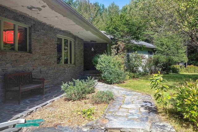 view of yard with a patio area