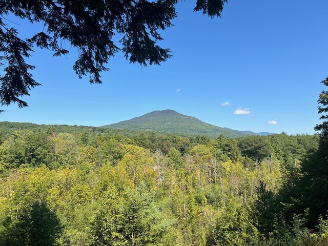 100 Back Nine Blf, Manchester, VT 05254