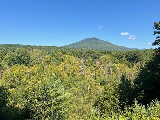 100 Back Nine Blf, Manchester, VT 05254