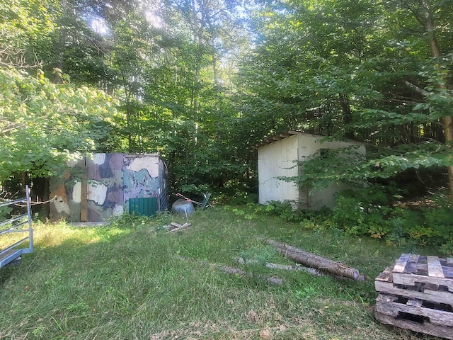 view of yard featuring a shed