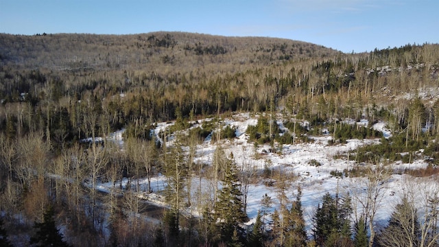 property view of mountains