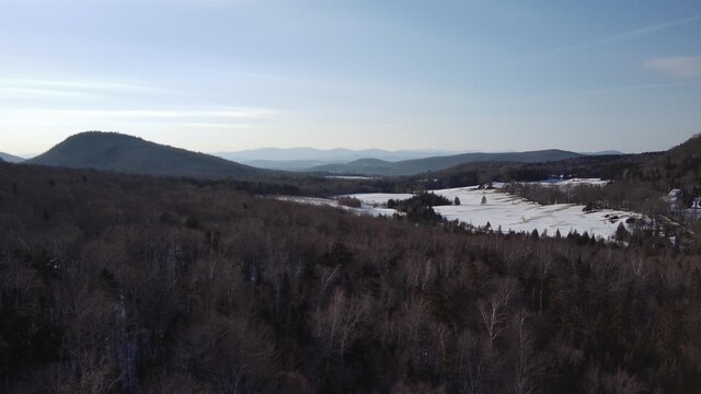 view of mountain feature