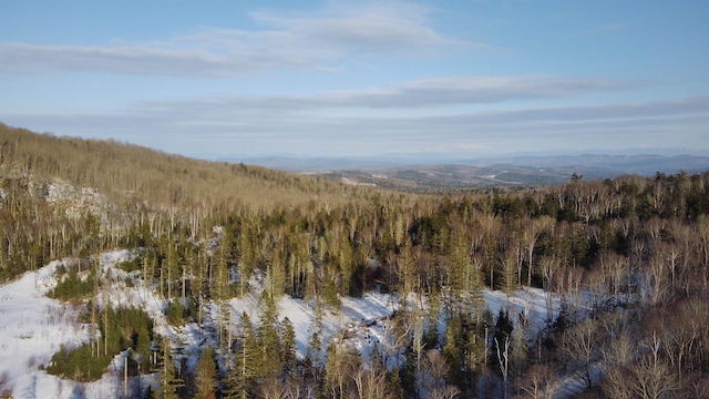 property view of mountains