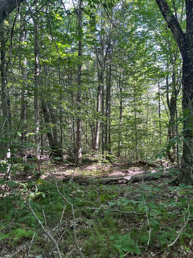 Faxon Hill Rd, Washington NH, 03280 land for sale