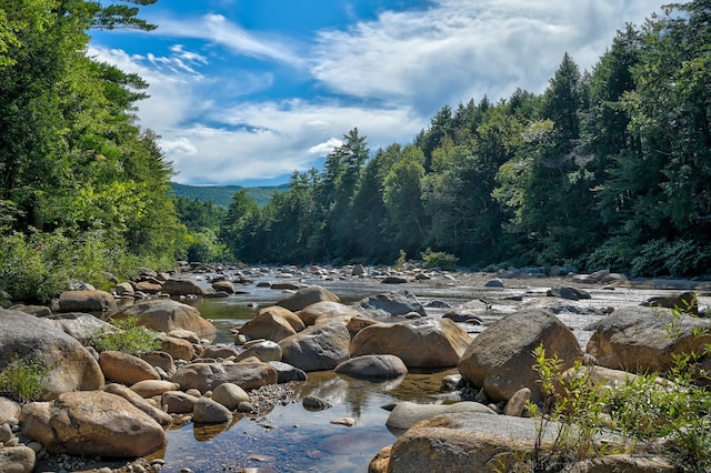 TBD The Meadows Rd, Bartlett NH, 03812 land for sale