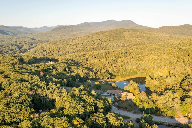 birds eye view of property featuring a water and mountain view and a view of trees