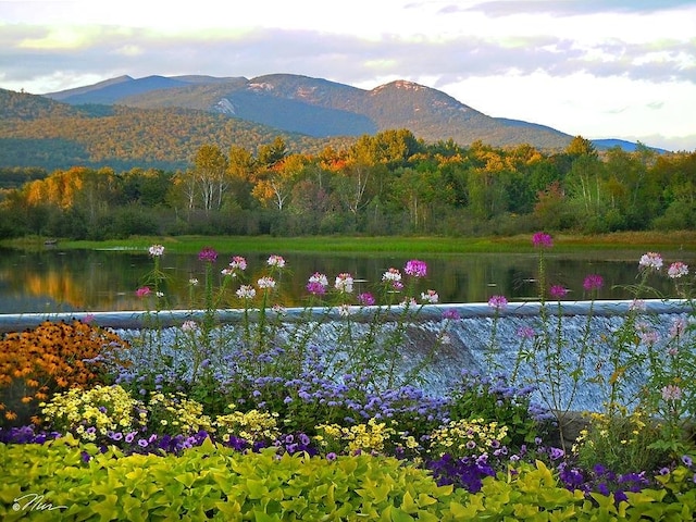 view of home's community featuring a water and mountain view and a view of trees