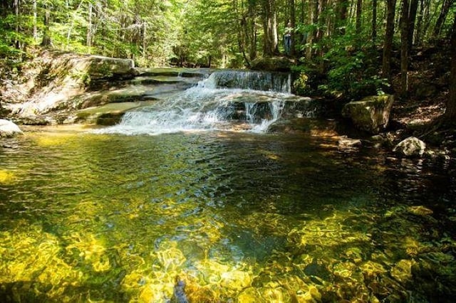 property view of water featuring a forest view