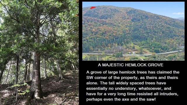 92 Bishop Brook Rd, Stewartstown, NH 03576