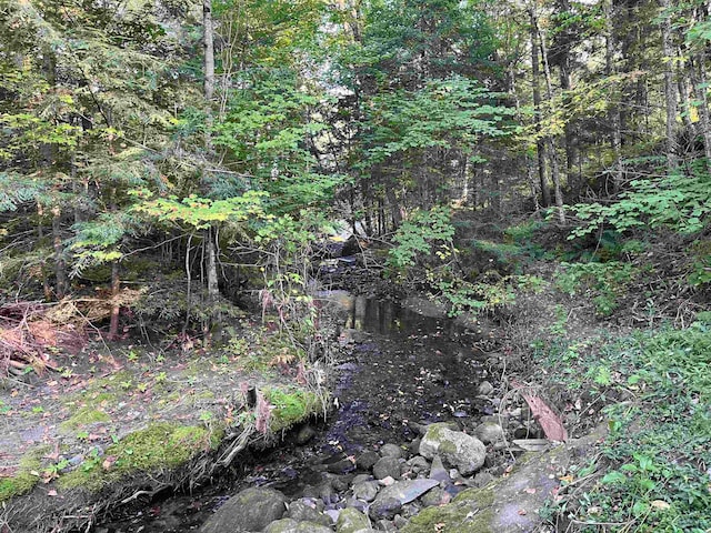 view of nature with a forest view