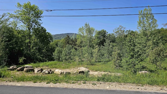 Listing photo 3 for 4 Summit View Rd, Winhall VT 05340