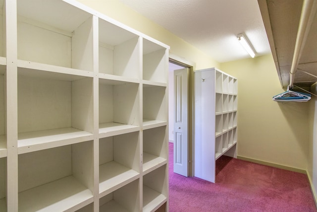 spacious closet featuring carpet