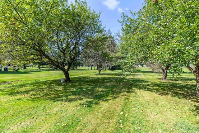 6694 Vt Route 100, Troy, VT 05859 - view of yard