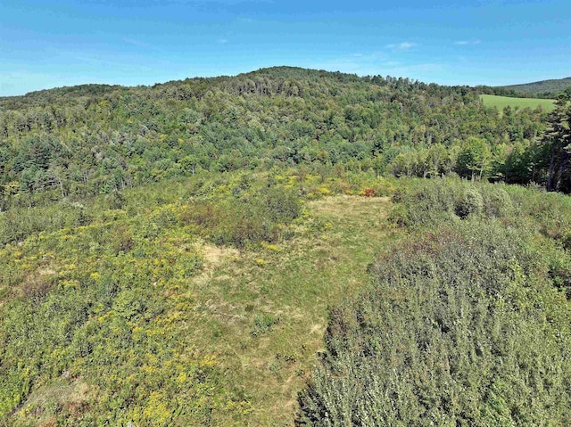 655 Kinsey Rd, Barton, VT 05822