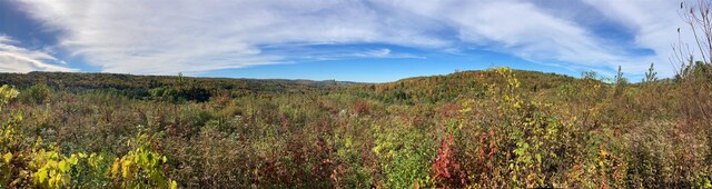 655 Kinsey Rd, Barton, VT 05822