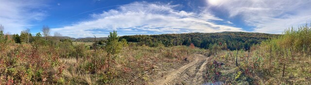655 Kinsey Rd, Barton, VT 05822