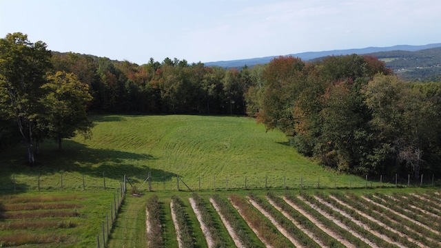 view of yard with a rural view