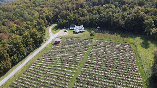 drone / aerial view with a rural view