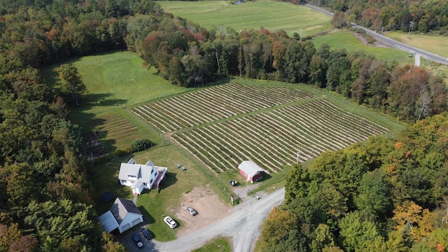 aerial view with a rural view