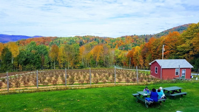 view of yard with a mountain view and an outdoor structure