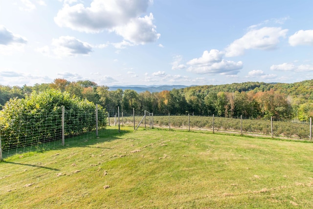 view of yard featuring a rural view