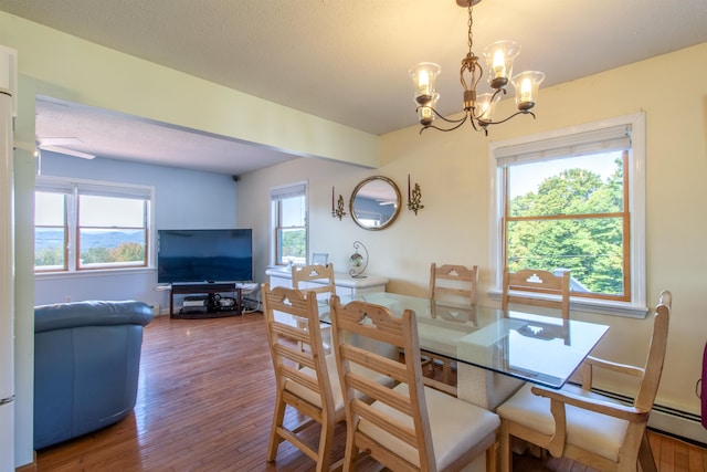 dining area with a healthy amount of sunlight, ceiling fan with notable chandelier, and hardwood / wood-style floors