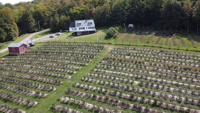 drone / aerial view featuring a rural view