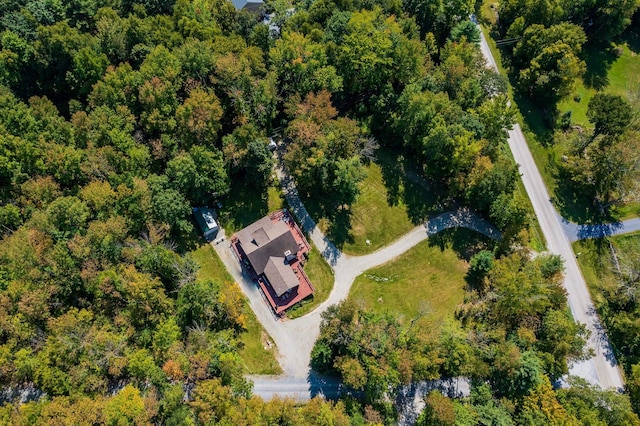 bird's eye view