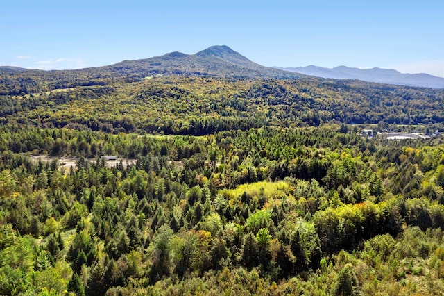 view of mountain feature