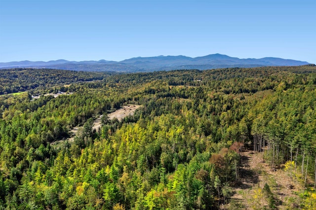 view of mountain feature