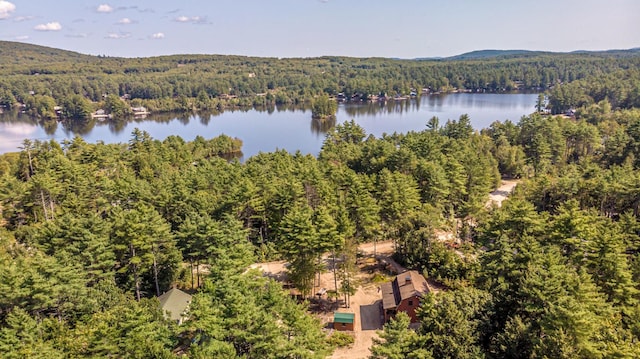 359 Gold Coast Dr, Wakefield, NH 03830 - bird's eye view of a forest and a large body of water