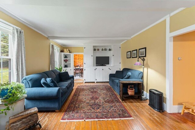 living room with ornamental molding and hardwood / wood-style floors