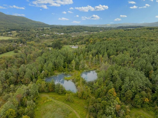 birds eye view of property with a water and mountain view