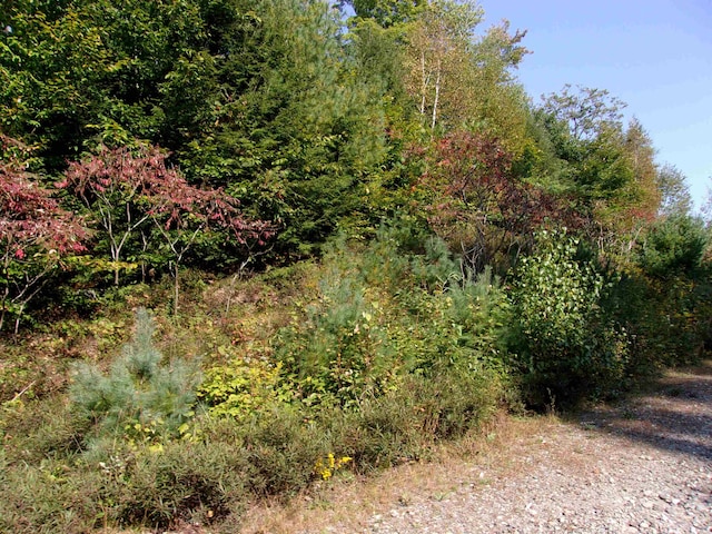 Fenn Way Cir, Bath NH, 03740 land for sale