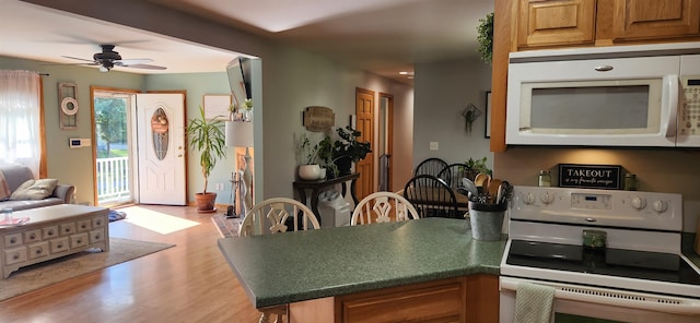 kitchen featuring ceiling fan, light hardwood / wood-style floors, and white appliances