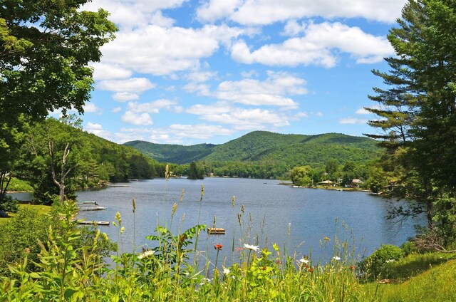 0 Gill Ter, Ludlow, VT 05149