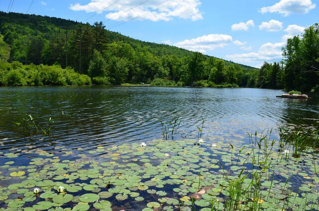 0 Gill Ter, Ludlow, VT 05149