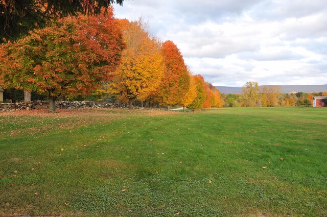 view of yard featuring a mountain view