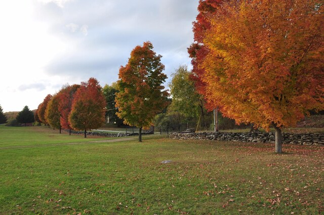 surrounding community with a yard