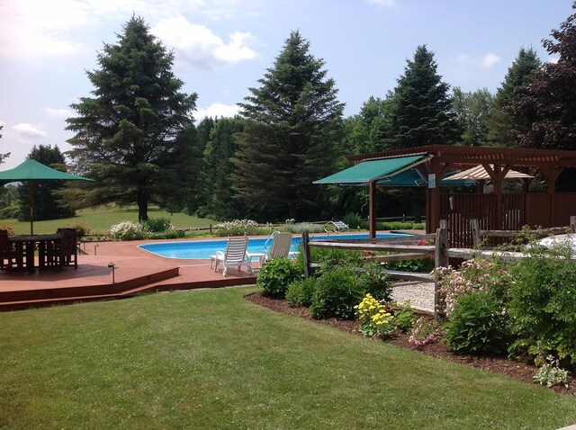 view of pool featuring a wooden deck, a pergola, and a yard