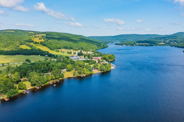 aerial view with a water and mountain view